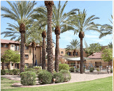 FORUM AT DESERT HARBOR (SKILLED NURSING) - THE